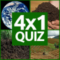 4×1 Picture Quiz