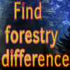 Find forestry difference