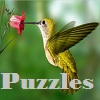Puzzles with hummingbirds.