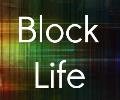 Block Life Game 2014