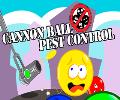 Cannon Ball Pest Control DEMO