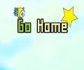 GO Home