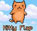 Kitty Flap