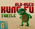 Old age Mutant Kung-Fu Turtle