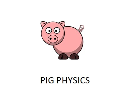 Pig Physics