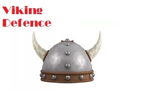 Viking Defence